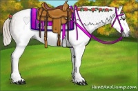 Horse Color:Gray Chestnut Splash Frame 