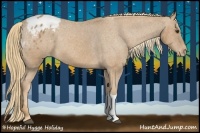 Horse Color:Chestnut Blanket 