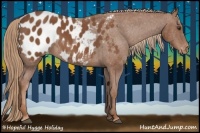 Horse Color:Chestnut Blanket 