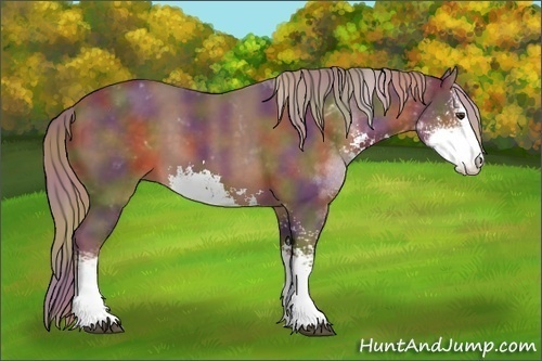 Horse Color: Nacre Liver Chestnut Sabino 