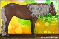 Horse Color:Silver Brown Roan 