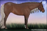 Horse Color:Silver Bay Roan 