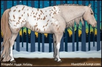 Horse Color:Chestnut Appaloosa 