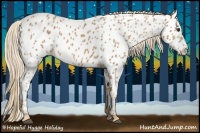 Horse Color:Chestnut Near Leopard 