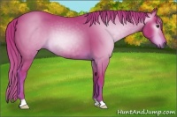 Horse Color:Gray Watercolor Chestnut 