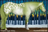 Horse Color:Gray Watercolor Chestnut Near Leopard 