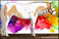 Horse Color:White Spotted Gold Cream Champagne Tobiano 