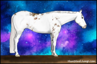 Horse Color:Silver Black Sabino 