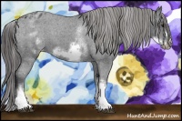 Horse Color:White Spotted Blue Roan Splash Frame Blanket 