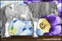 Horse Color:White Spotted Blue Roan Splash Frame Varnish 