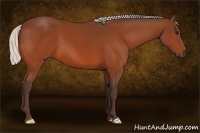 Horse Color:Silver Bay 