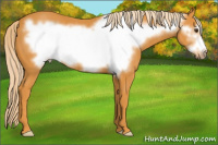 Horse Color:Chocolate Palomino Frame 