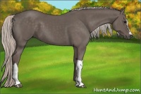 Horse Color:Silver Black 