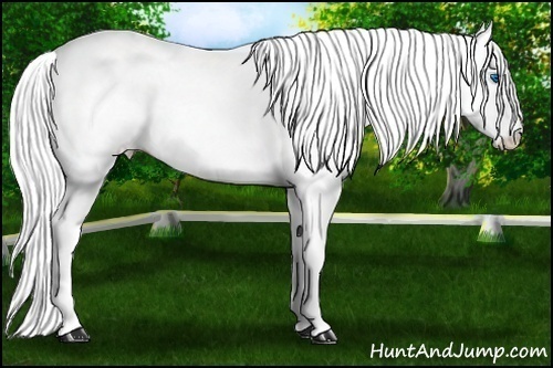 Horse Color: White Spotted Perlino Dun Splash 