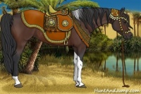 Horse Color:Brown Tobiano Rabicano