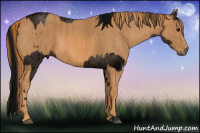 Horse Color:ERROR: UNKNOWN ANOMALY Brindle