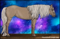 Horse Color:Silver Grullo