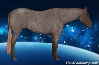 Horse Color:Liver Red Roan 