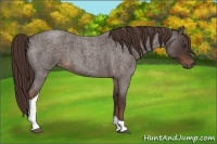 Horse Color:Liver Red Roan Tobiano 