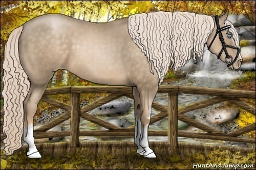 Horse Color: White Spotted Chocolate Palomino Pearl Sabino 
