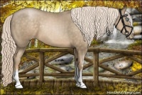 Horse Color:White Spotted Chocolate Palomino Pearl Sabino
