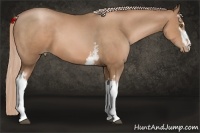 Horse Color:White Spotted Liver Chestnut Pearl