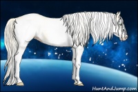 Horse Color:White Spotted Gold Cream Champagne Dun 