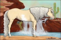 Horse Color:White Spotted Gold Cream Champagne 