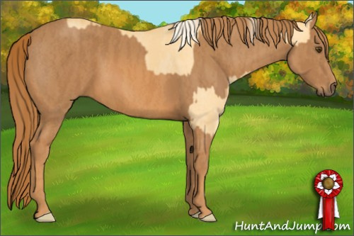 Horse Color: Palomino Dun  Brindle