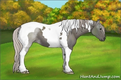 Horse Color: Silver Black Tobiano 