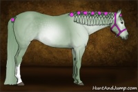 Horse Color:Gray Watercolor Chestnut 