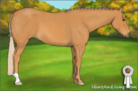 Horse Color:Chocolate Palomino Roan 