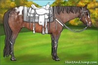 Horse Color:Bay Splash Tobiano Blanket  Brindle