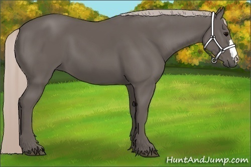 Horse Color:Silver Black 