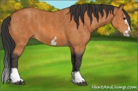 Horse Color:Bay Splash Frame  Brindle