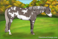Horse Color:White Spotted Silver Brown Frame 