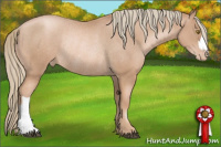 Horse Color:Liver Chestnut Pearl Mushroom Varnish Rabicano 