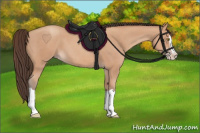 Horse Color:Amber Champagne Splash 