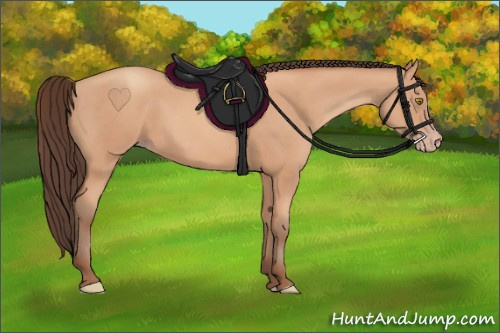 Horse Color: Amber Champagne 