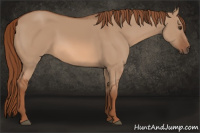 Horse Color:Liver Red Dun 