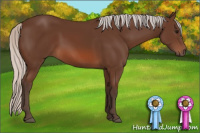 Horse Color:Silver Brown 