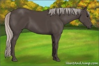 Horse Color:Silver Black 