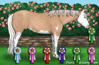 Horse Color:Silver Classic Champagne Sabino Splash
