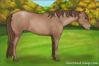 Horse Color:Brown Pearl 