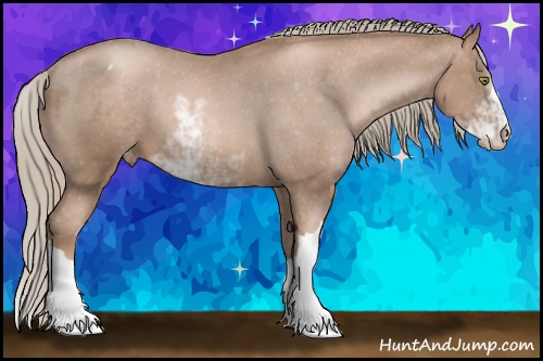 Horse Color: Liver Chestnut Pearl Mushroom Sabino Blanket 