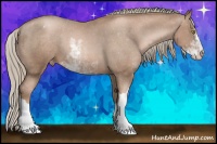 Horse Color:Liver Chestnut Pearl Sabino Appaloosa 