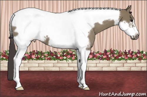 Horse Color: Smoky Grullo Tobiano Frame 