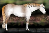 Horse Color:Gray Chestnut Splash Frame  Brindle