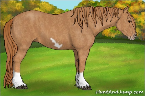 Horse Color: Chestnut Splash Frame  Brindle