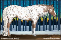 Horse Color:Liver Chestnut Mushroom Appaloosa 